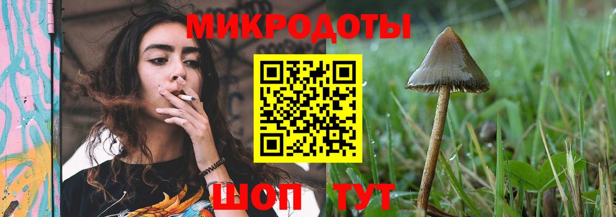 Майкоп  Псилоцибиновые грибы Psilocybe  Вход с VPN 